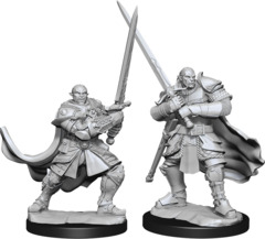 Half-Orc Paladin Male (Nolzur's - W15)